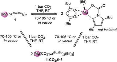 Scheme 5