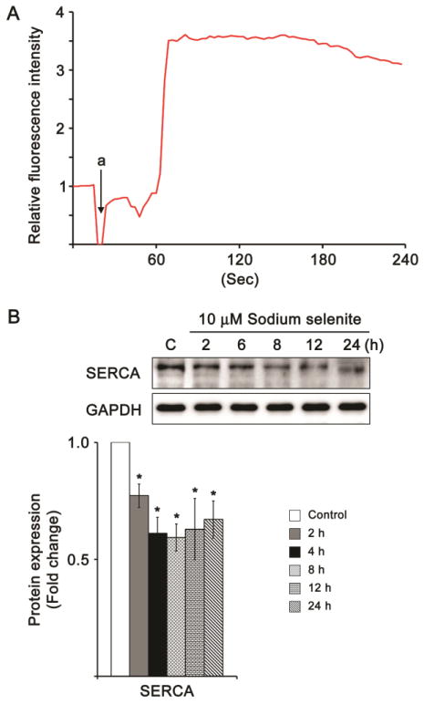 Fig. 6