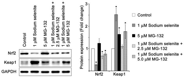 Fig. 10