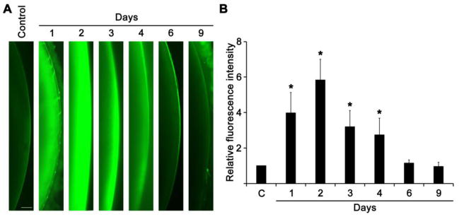 Fig. 3