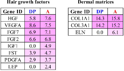 Figure 6: