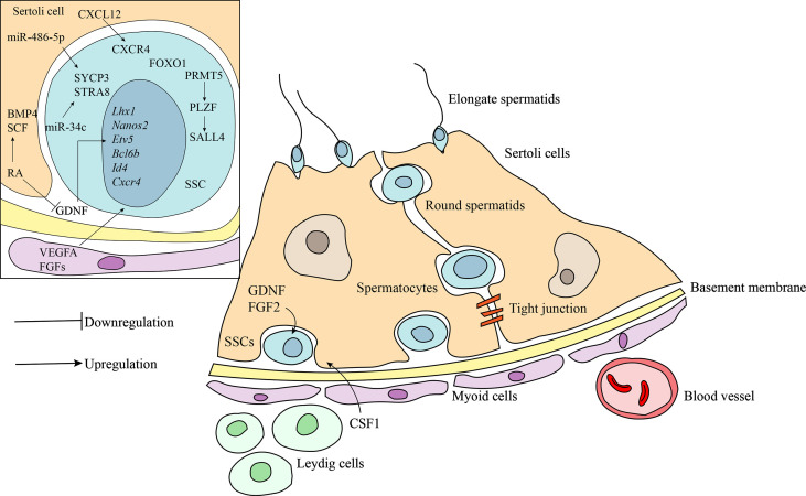 Figure 1