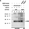 FIG. 6