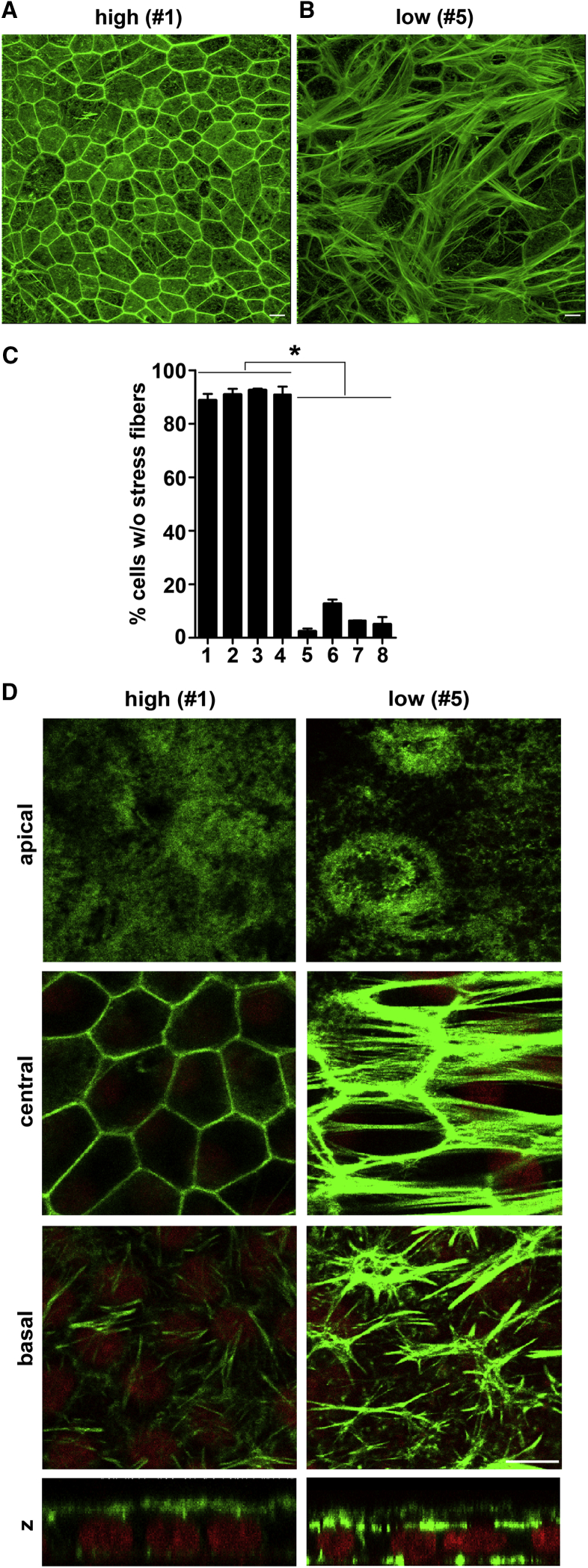 Figure 3