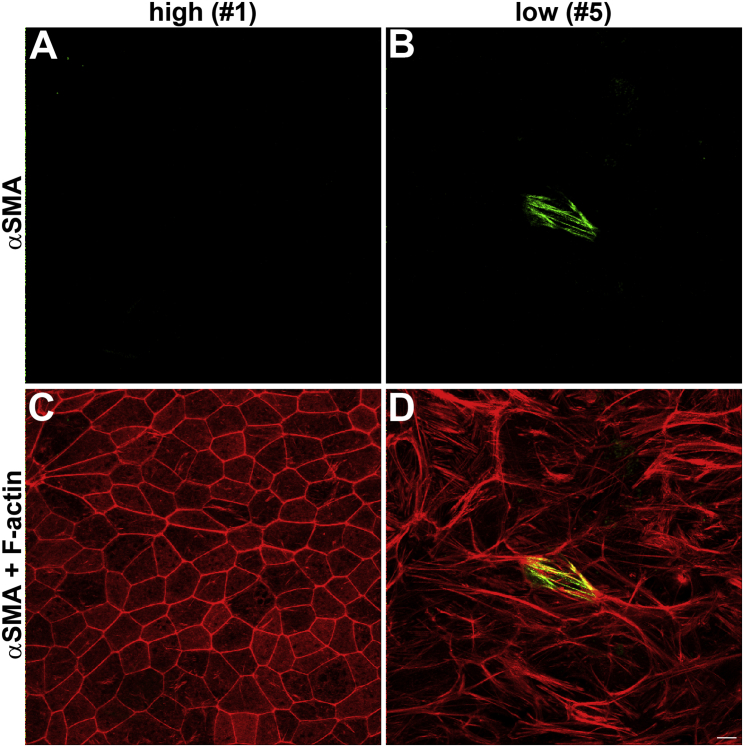 Figure 4