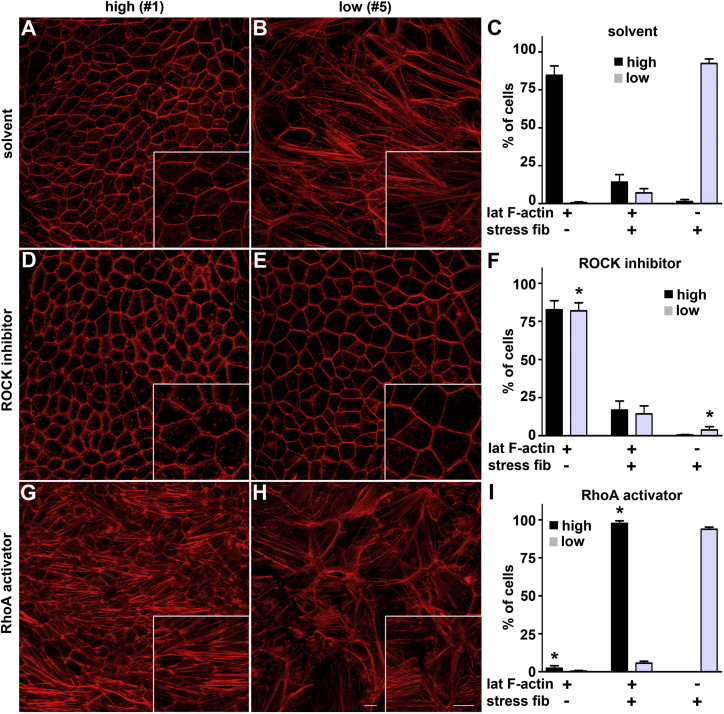 Figure 6