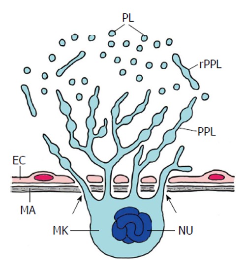 Figure 10