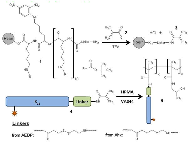 Scheme 1