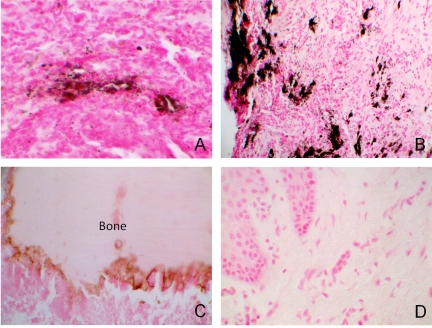 Fig. (1)