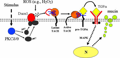 Fig. 7.