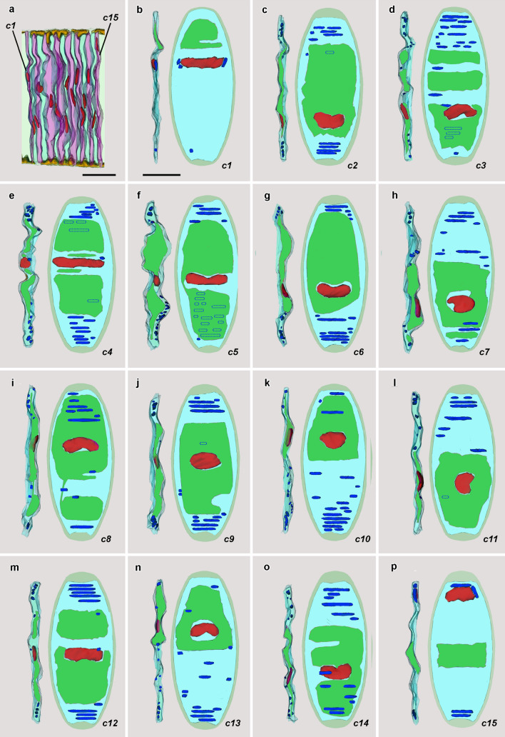 Fig. 6