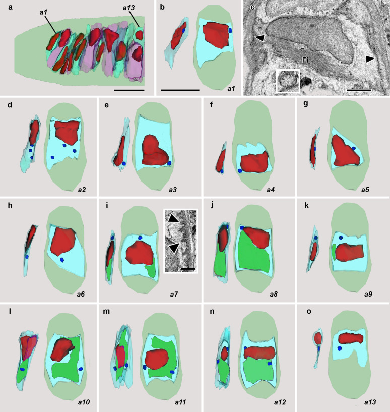 Fig. 3