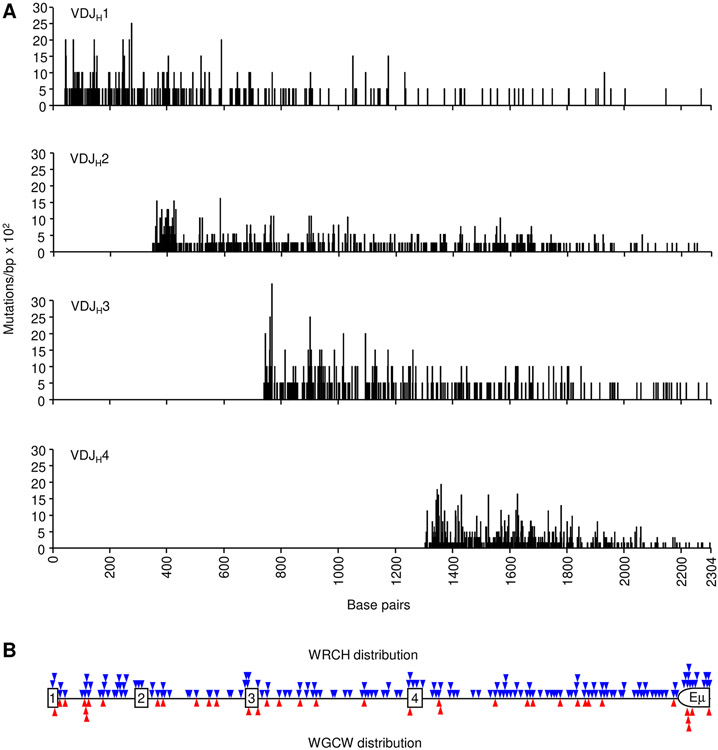 FIGURE 2.