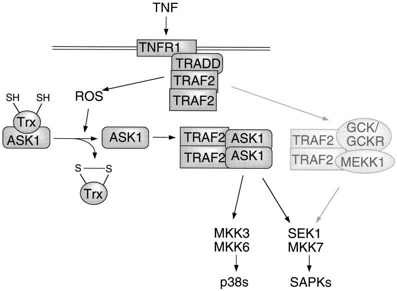 FIG. 8