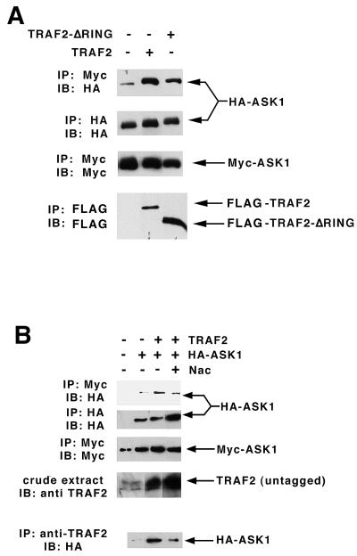 FIG. 7