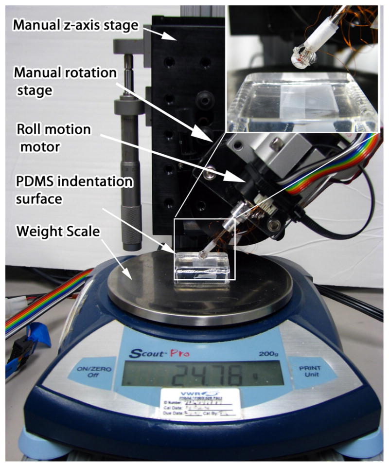 Fig. 7