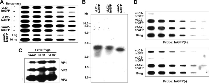 FIG 2