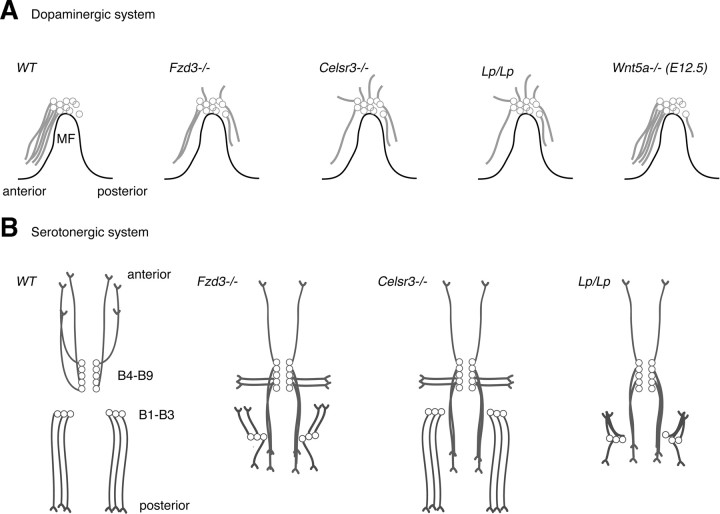 Figure 9.