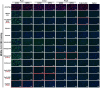 Extended Data Fig.2