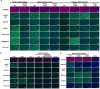 Extended Data Fig.6