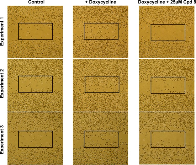 Figure 7