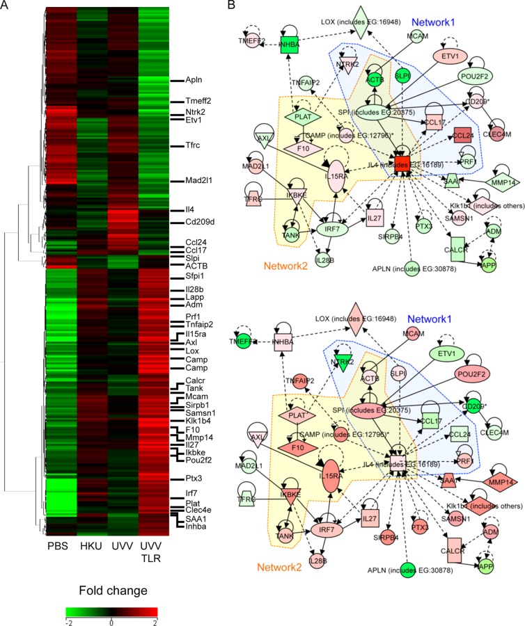 FIG 8