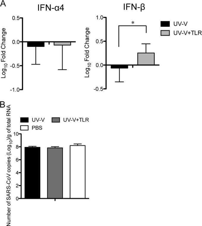 FIG 6