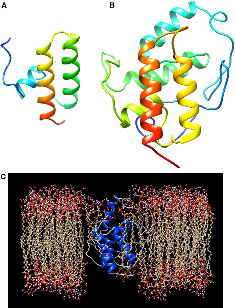 Fig. 1