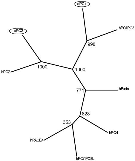 Figure 7