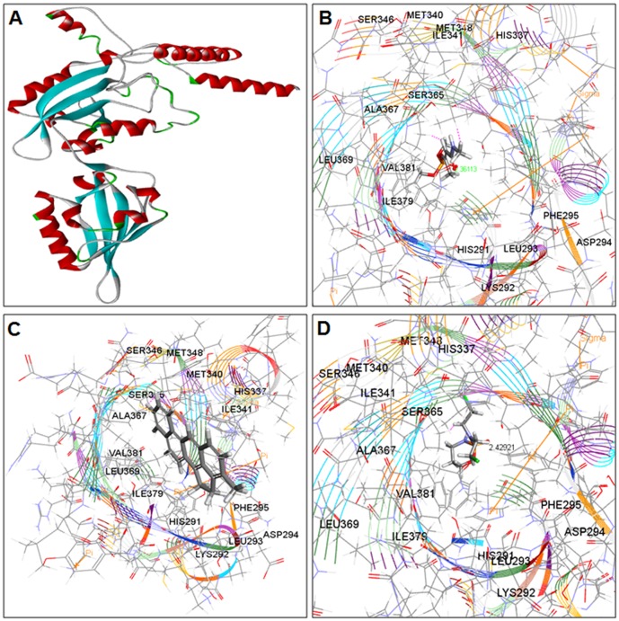 Figure 11