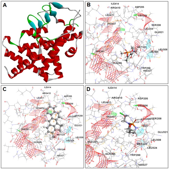 Figure 10