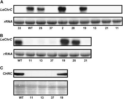 Figure 7.