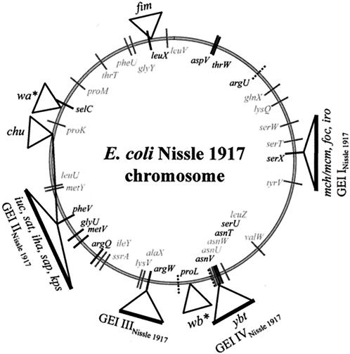 FIG. 2.