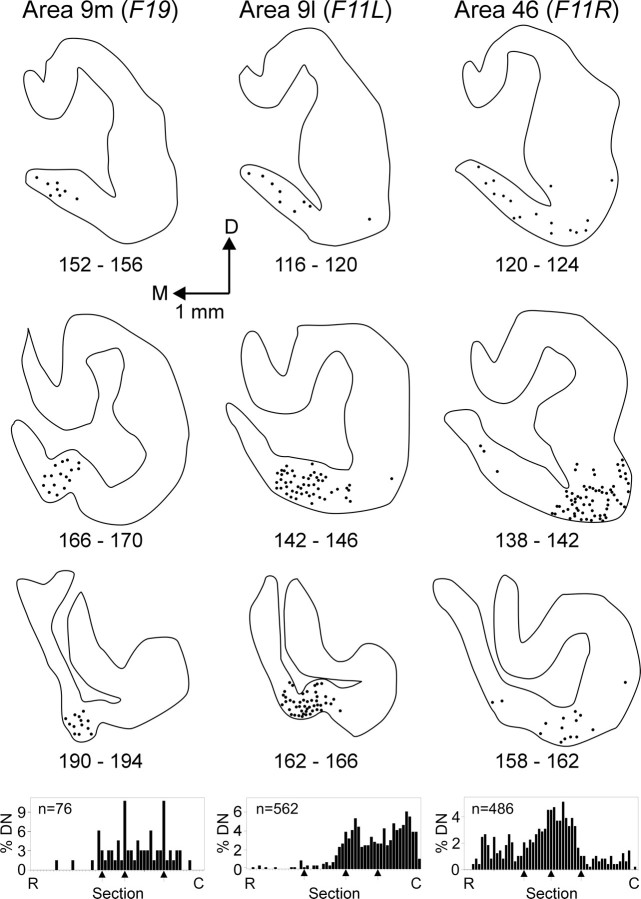 Fig. 8.