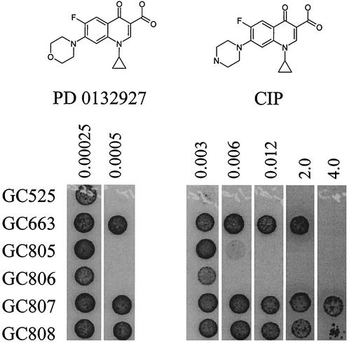 FIG. 3.