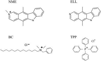 FIG. 2.