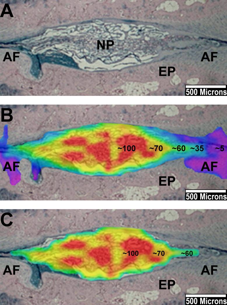 Fig. 7