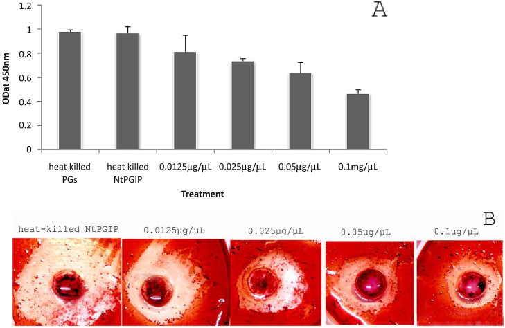 Fig. 8