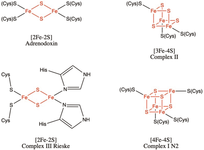 Fig. 1