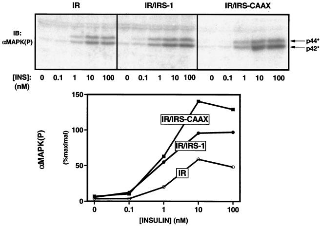 FIG. 8