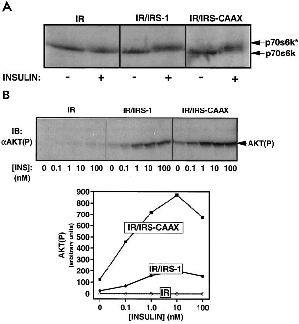 FIG. 7