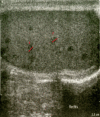 Fig. 1