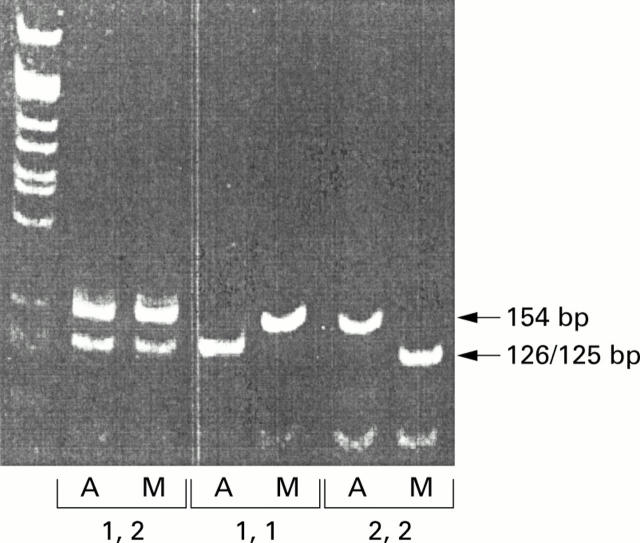 Figure 1  