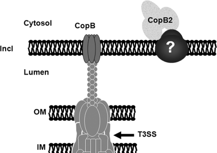 Fig. 9.