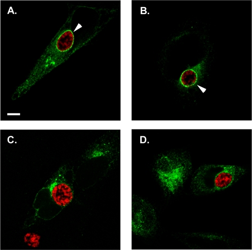 Fig. 8.