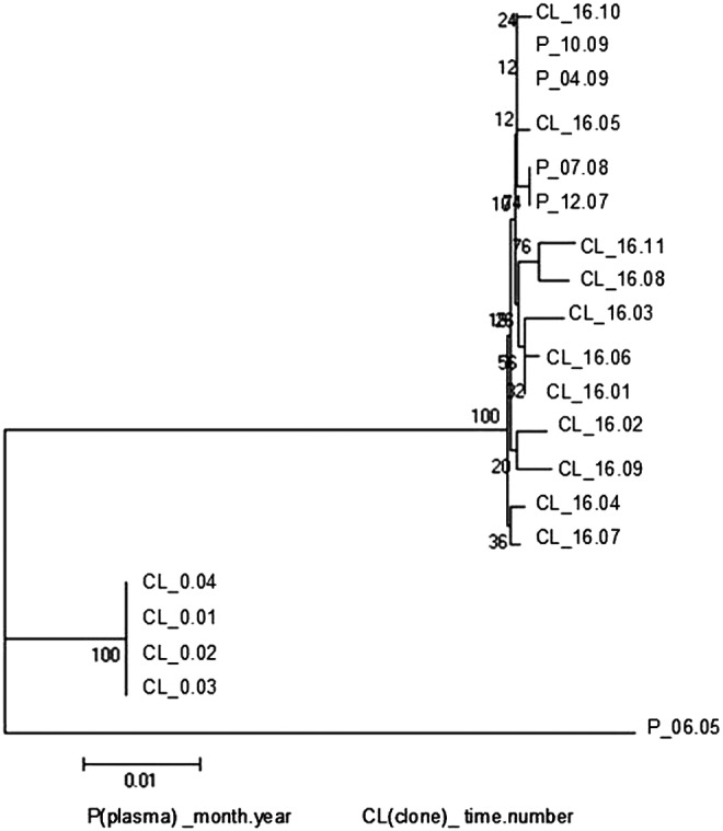 FIG. 2.