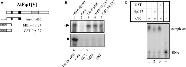 Figure 7.