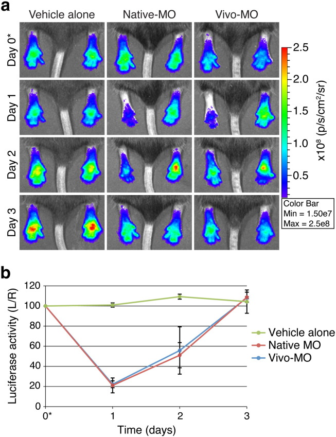 Fig. 4