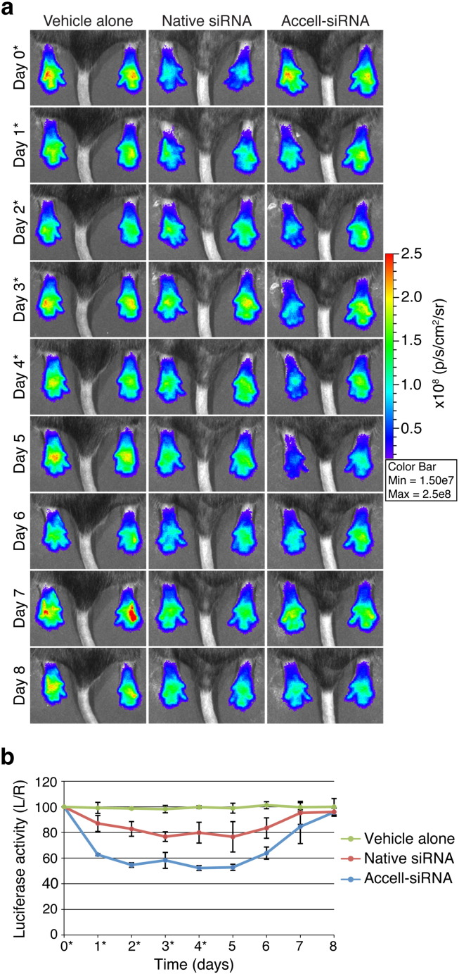 Fig. 5