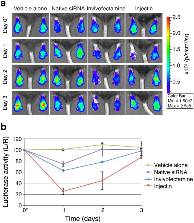 Fig. 3